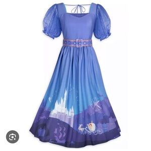 NWT Her Universe Cinderella and Coach Dress - L